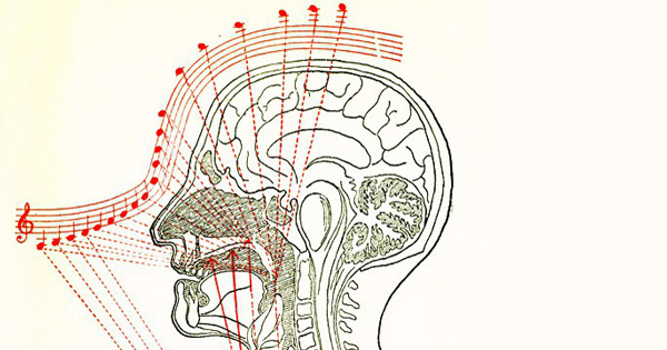 Music and the Body: Richard Powers on the Power of Song