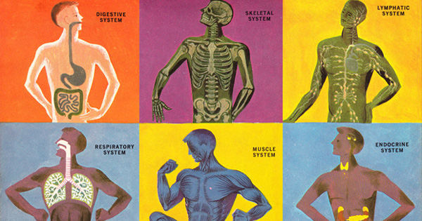The Three-Body Problem: French Polymath Paul Valéry on the