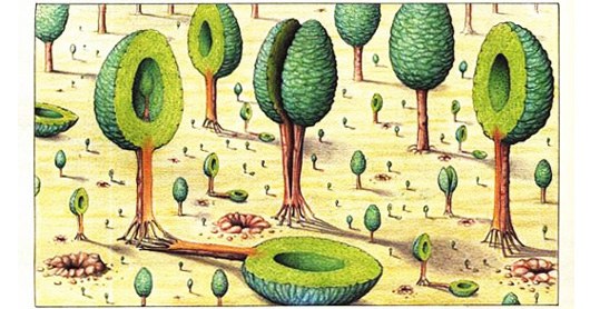 Codex Seraphinianus: History’s Most Bizarre and Beautiful Encyclopedia ...