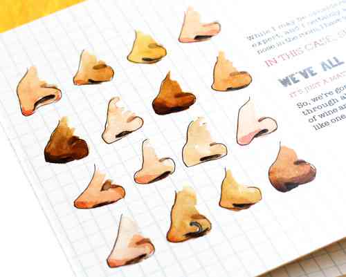 The Science of Smell: How the Most Direct of Our Senses Works – The ...