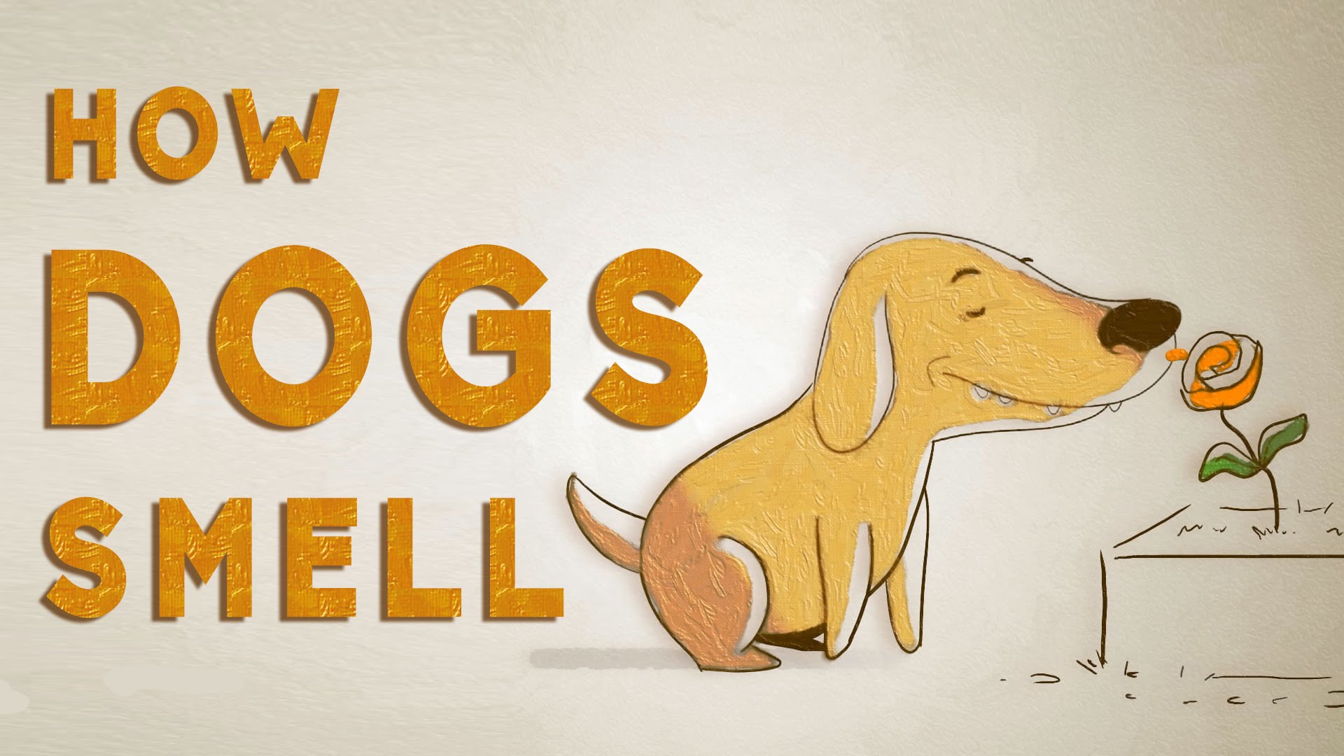 How a Dog Actually “Sees” the World Through Smell – The Marginalian