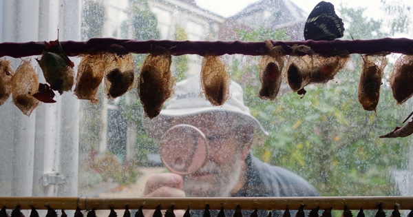 Oliver Sacks on Gratitude, the Measure of Living, and the Dignity of Dying