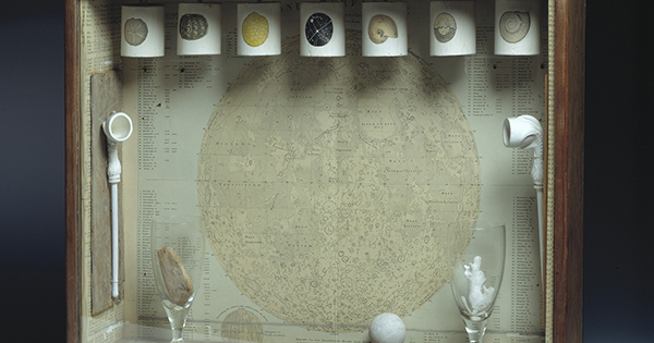 cornell.jpg?fit=600,315&ssl=1