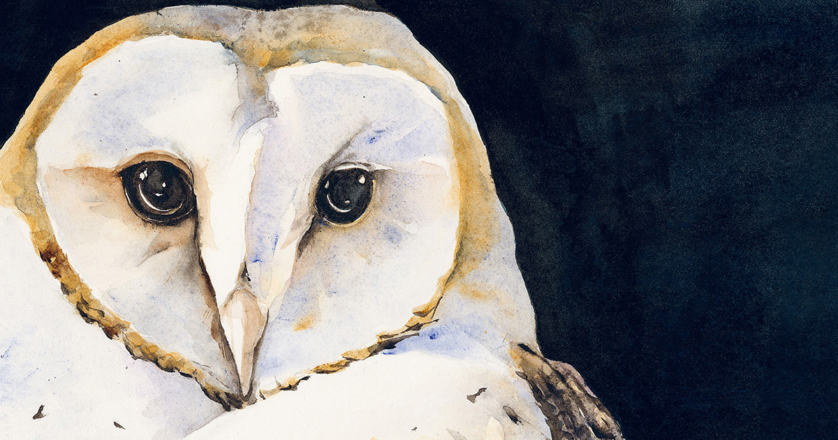 What Birds Dream About: How Evolution Invented REM in the Avian Brain So We May Practice the Possible in Our Sleep