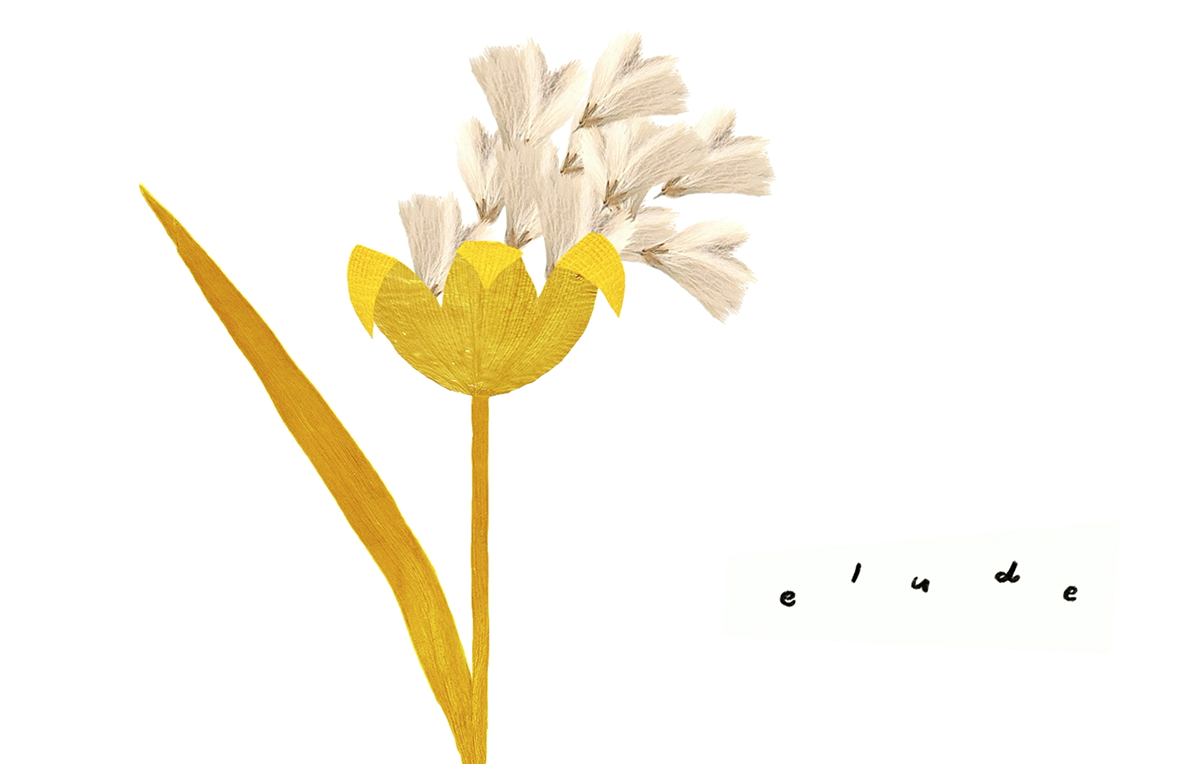 The Birth of Ecology: Ernst Haeckel, Emily Dickinson, and How Life on Earth Came Abloom