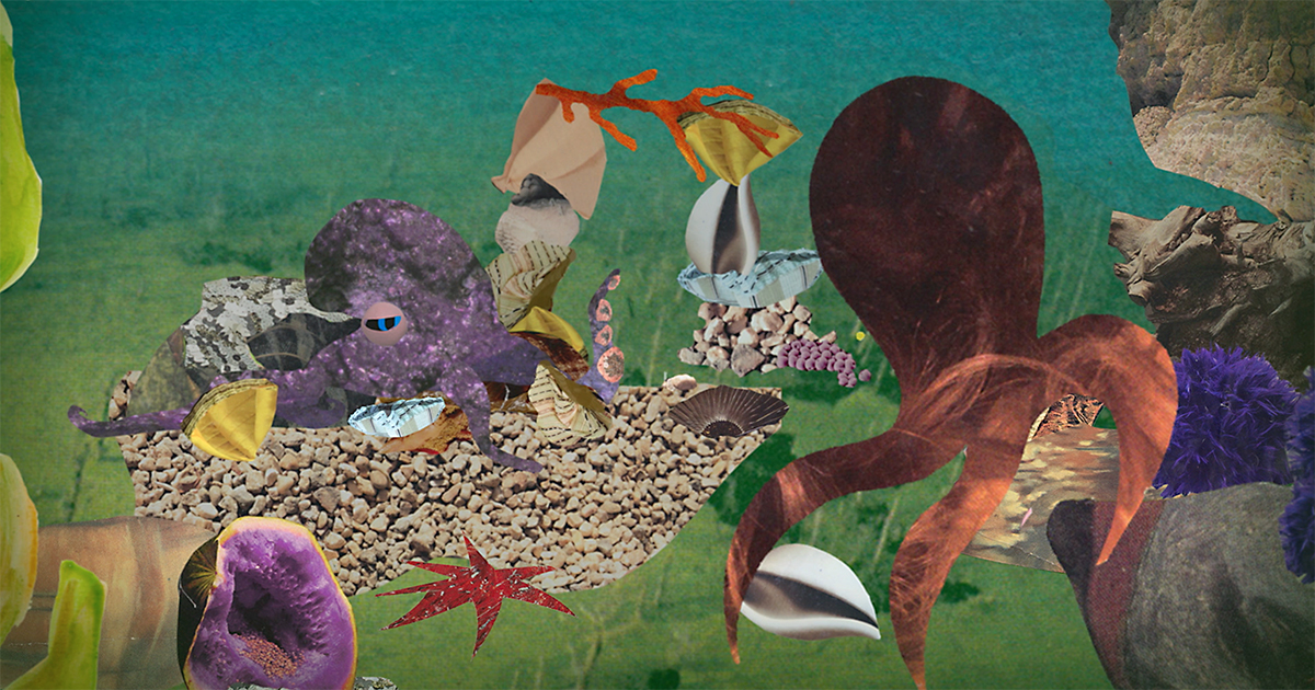 Octopus Empire: An Animated Poem – The Marginalian
