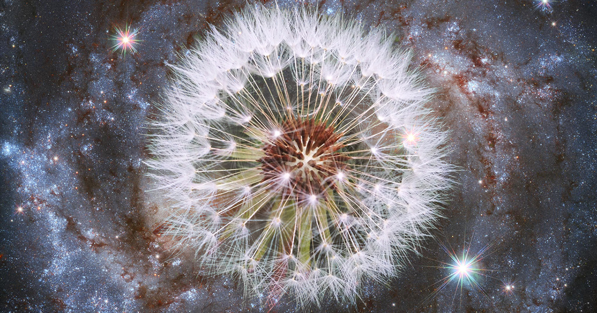 The Great Naturalist John Burroughs on the Art of Noticing and What Artists Can Learn from Naturalists