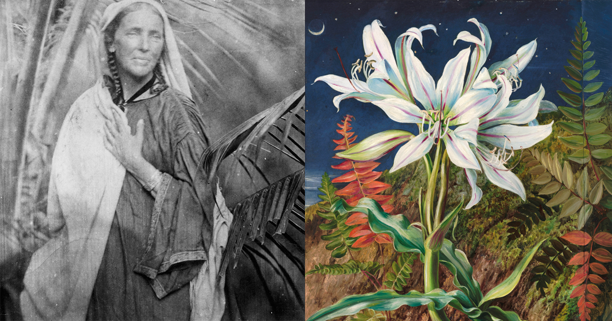 Turning Loss and Loneliness into Wonder: How the Victorian