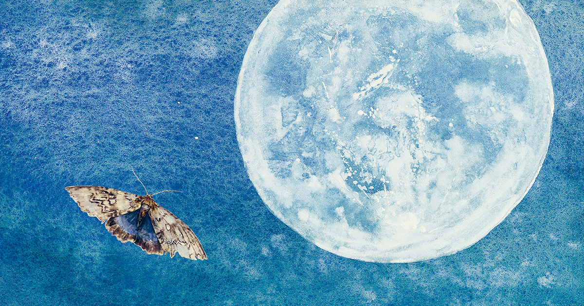 Richard Jefferies on Nature as Prayer for Presence – The Marginalian Richard Jefferies on Nature as Prayer for Presence – The Marginalian