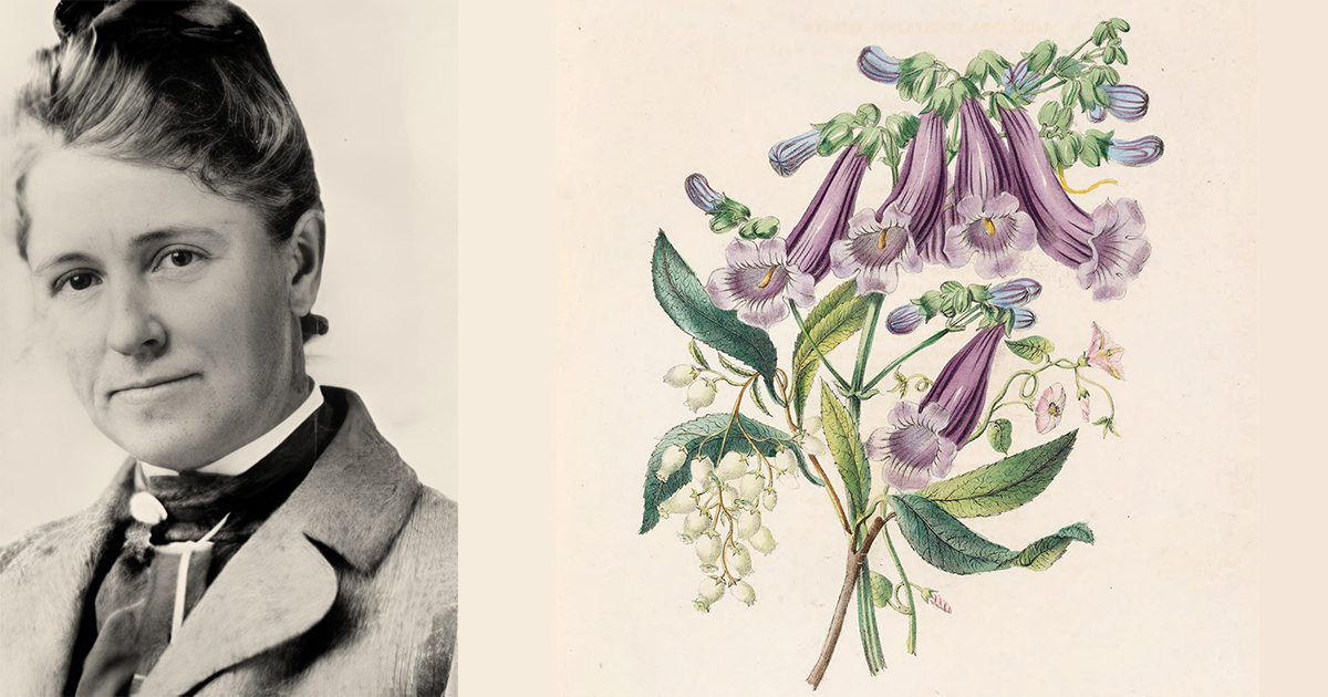 TradeBriefs Editorial