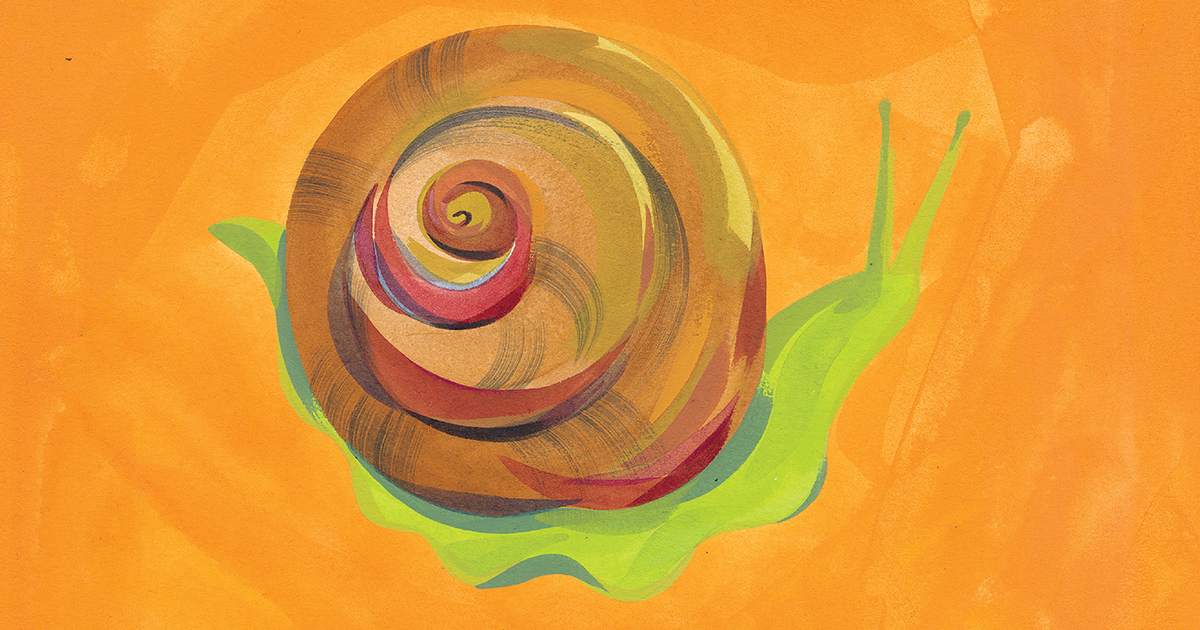 An Uncommon Meditation on Presence and the Aperture of Wonder – The Marginalian An Uncommon Meditation on Presence and the Aperture of Wonder – The Marginalian