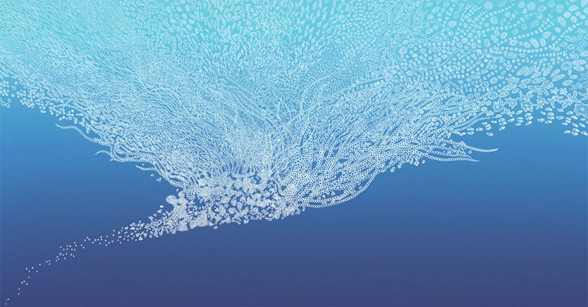 TradeBriefs Editorial