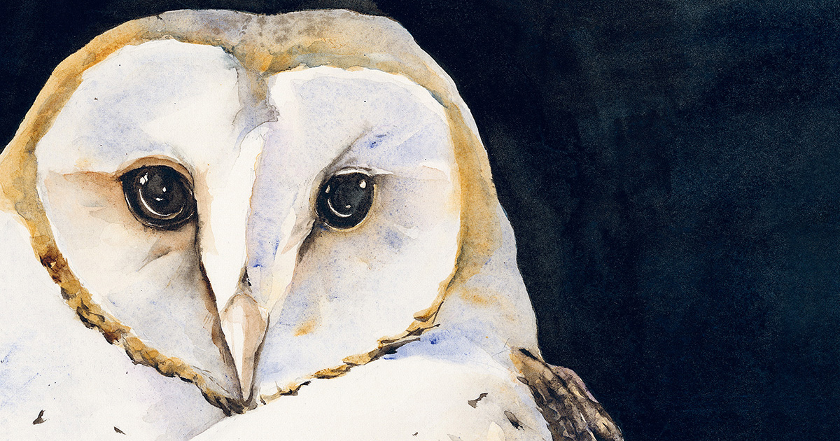 TradeBriefs Editorial