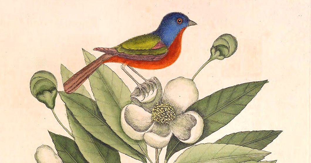 The Bird in the Heart: Terry Tempest Williams on the Paradox of Transformation and How to Live with Uncertainty