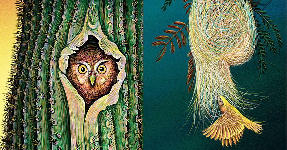 Kate Simler Home: An Illustrated Celebration of the Genius and Wonder of Animal ...