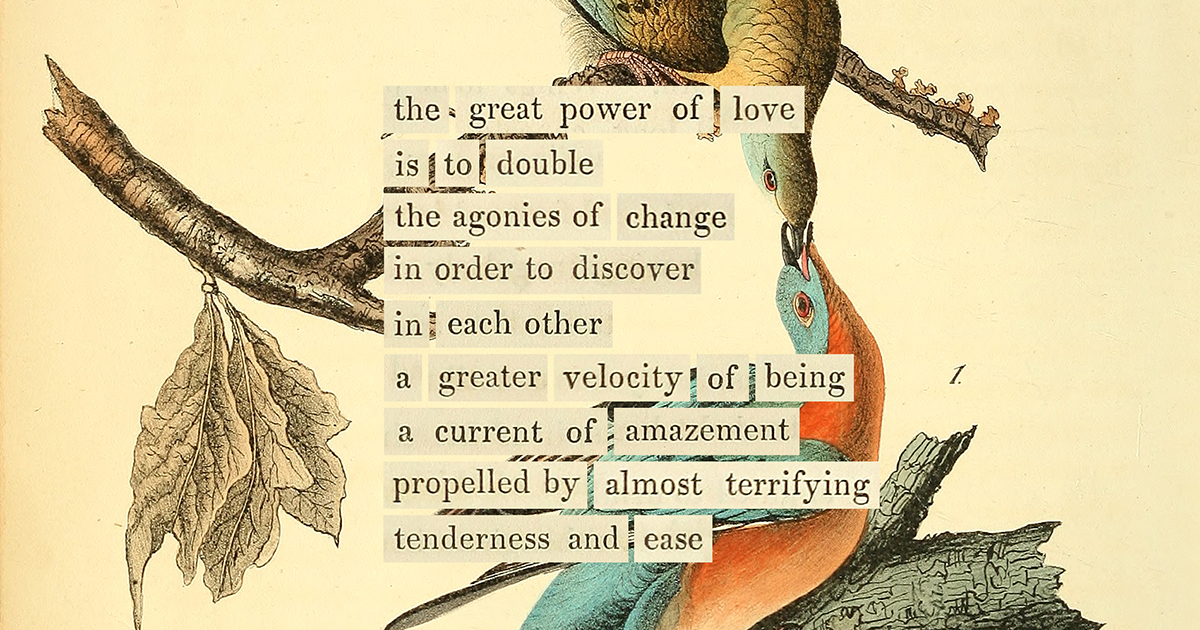 The Almanac of Birds: A Yearlong Journey with Our Feathered Friends