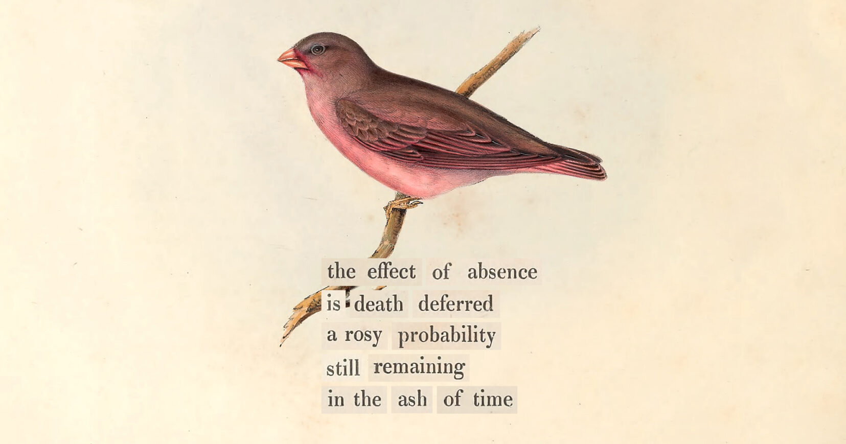 The Psychology of Waiting and Withstanding Absence – The Marginalian The Psychology of Waiting and Withstanding Absence – The Marginalian