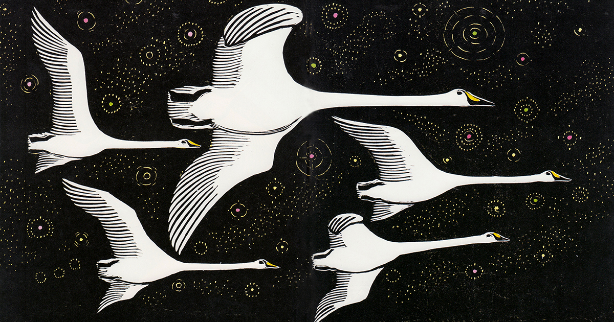 Marginal Bird Grace Against Gravity and the Physics of Vulnerability: How Birds Fly ...