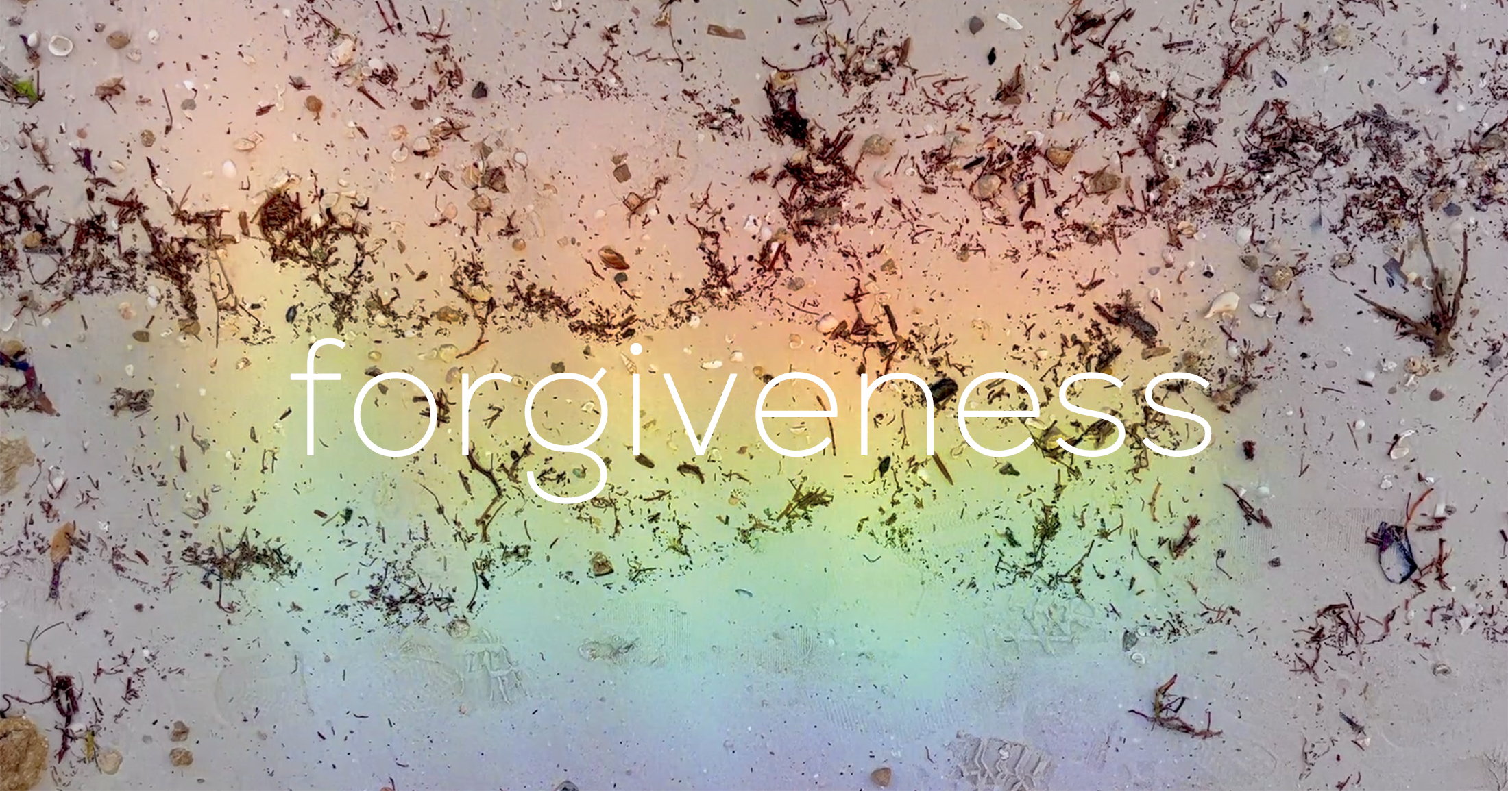 Forgiveness – The Marginalian