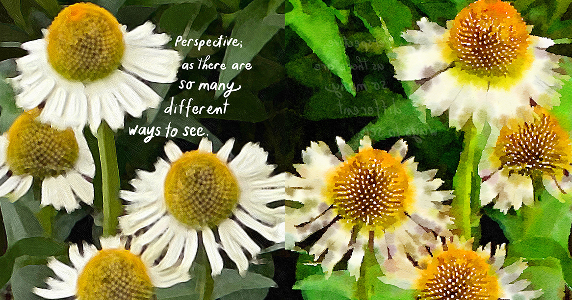 A Love Letter to Gardening and Life's Cycles