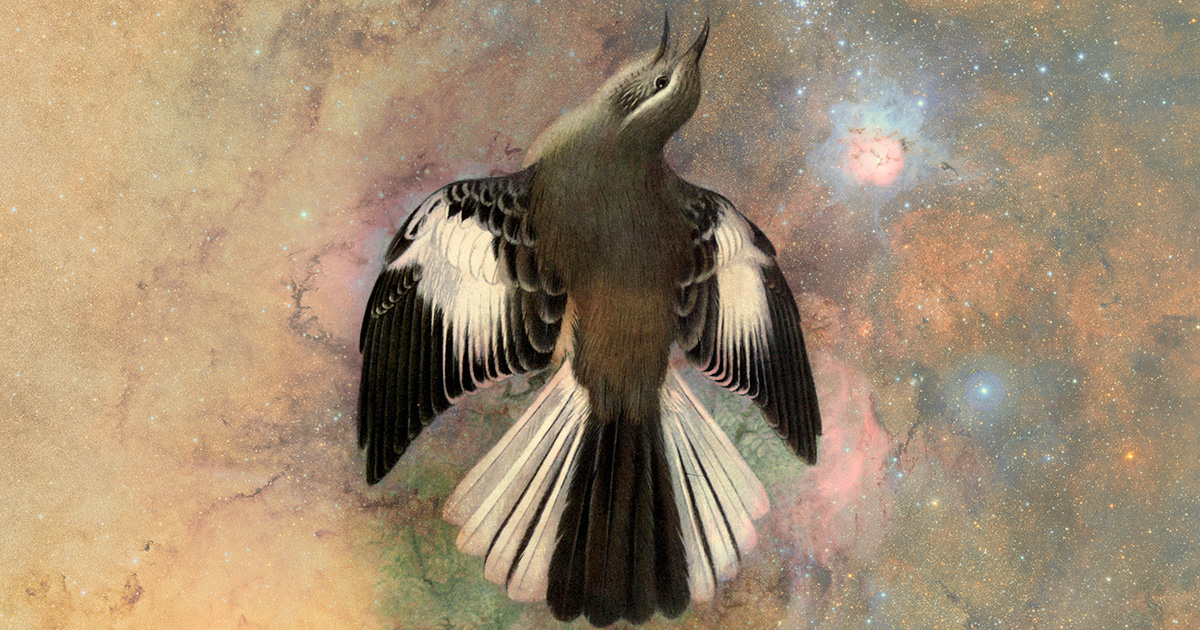 Uncaging the Bird in the Mind: William Henry Hudson and the Gift of the Ruin of Your Best Laid Plans