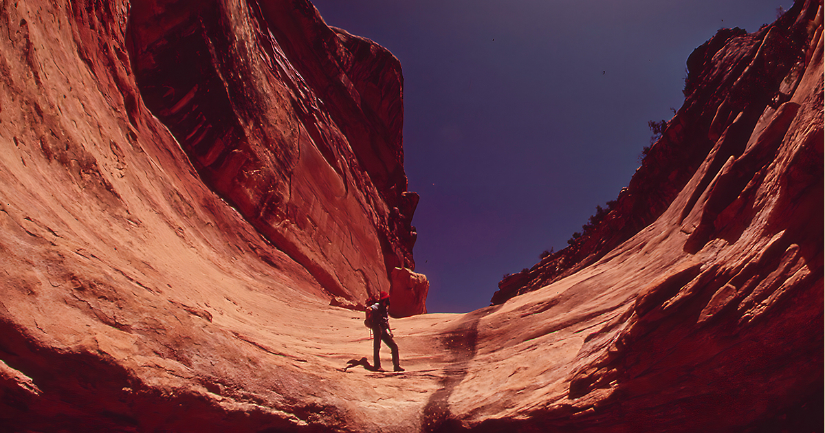 The Canyon and the Meaning of Life