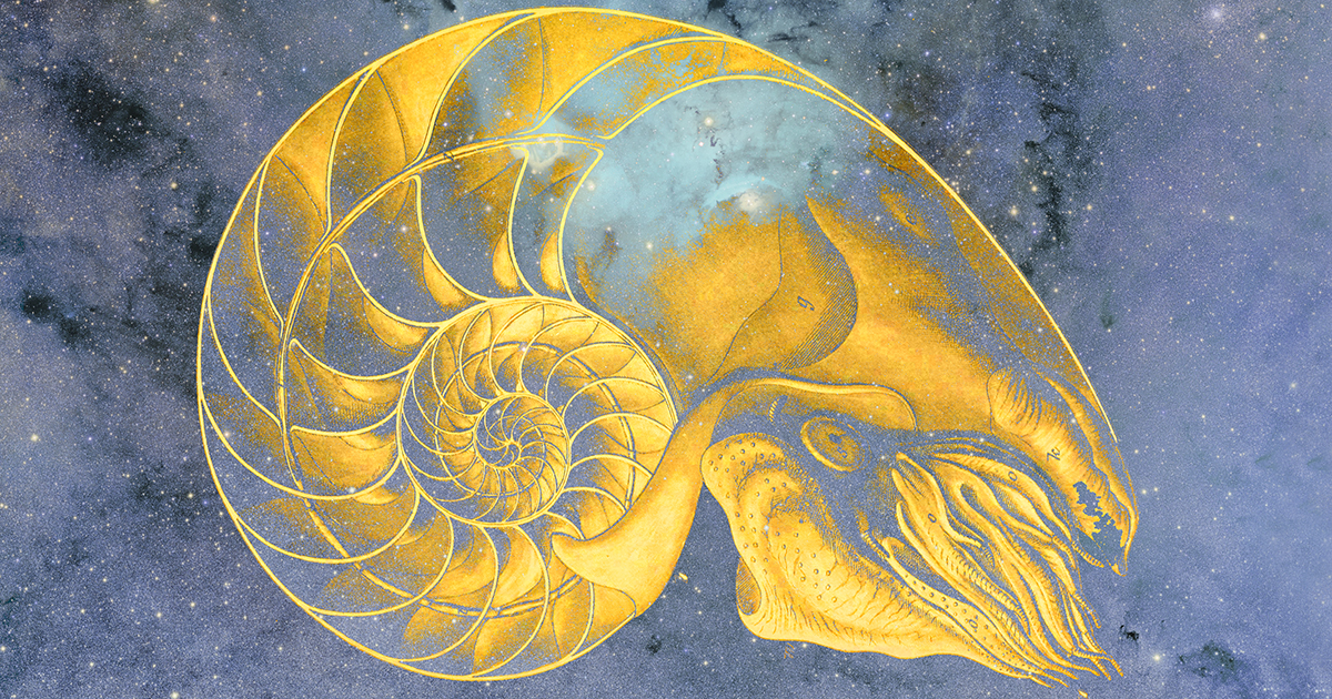 Wherever You Think There Is Nothing