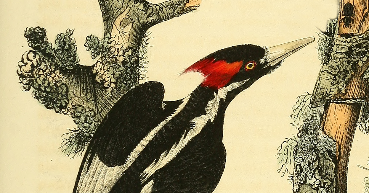 How Not to Waste Your Life – The Marginalian