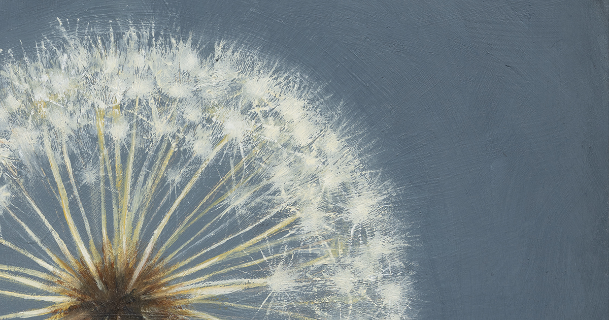 How to Love the World More: Artist and Poet Rachel Hébert’s ...