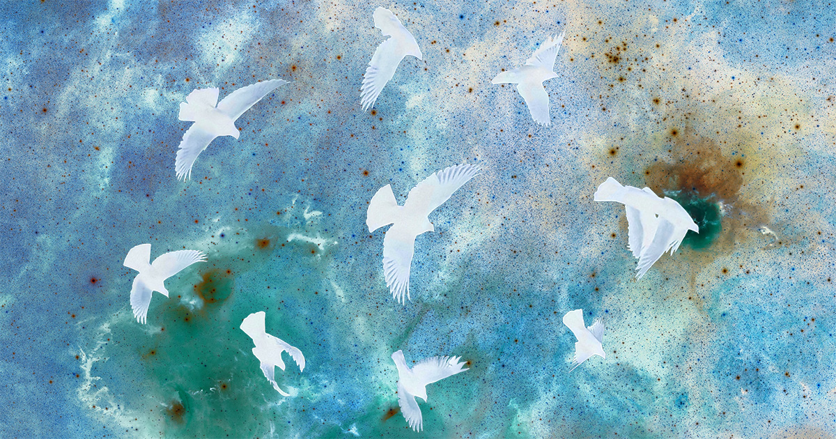 Marginal Bird If Birds Ran the World – The Marginalian