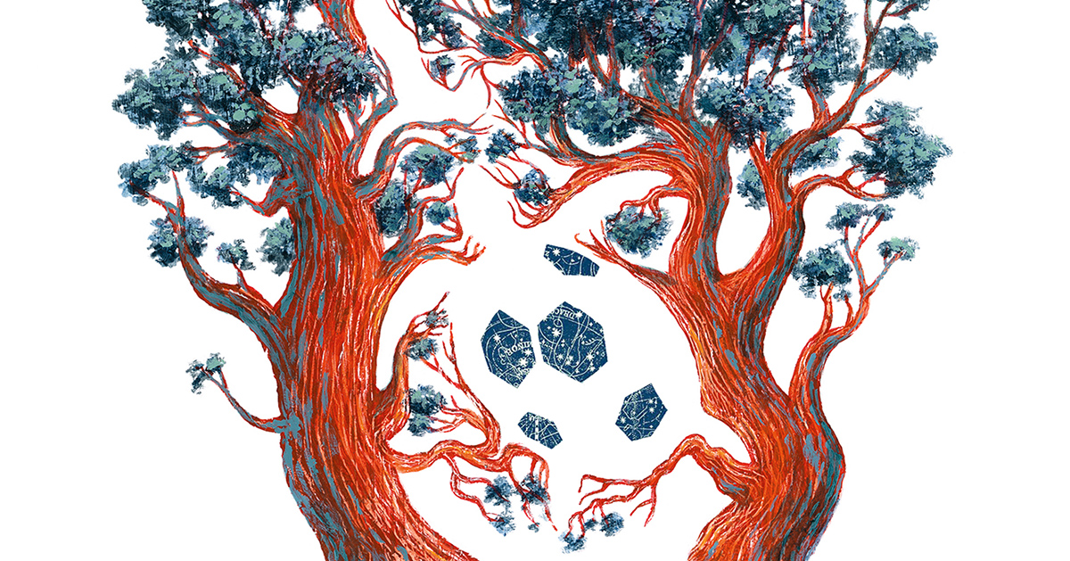 How to Be a Tree: Notes on the Resilience of Letting Go