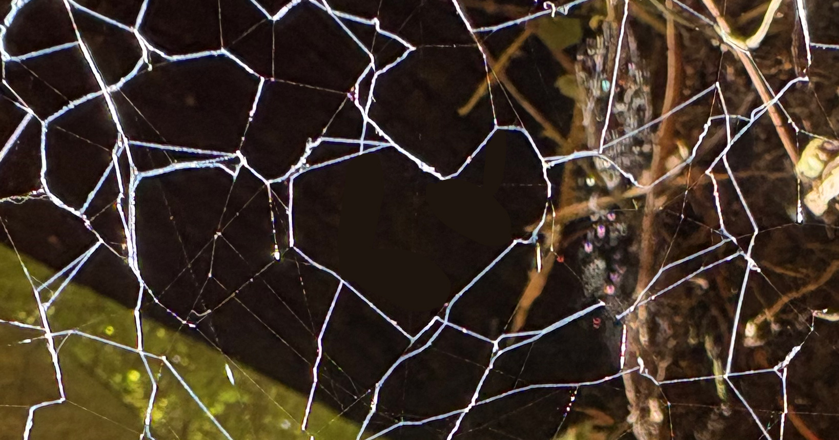 Corrective for a Broken Heart