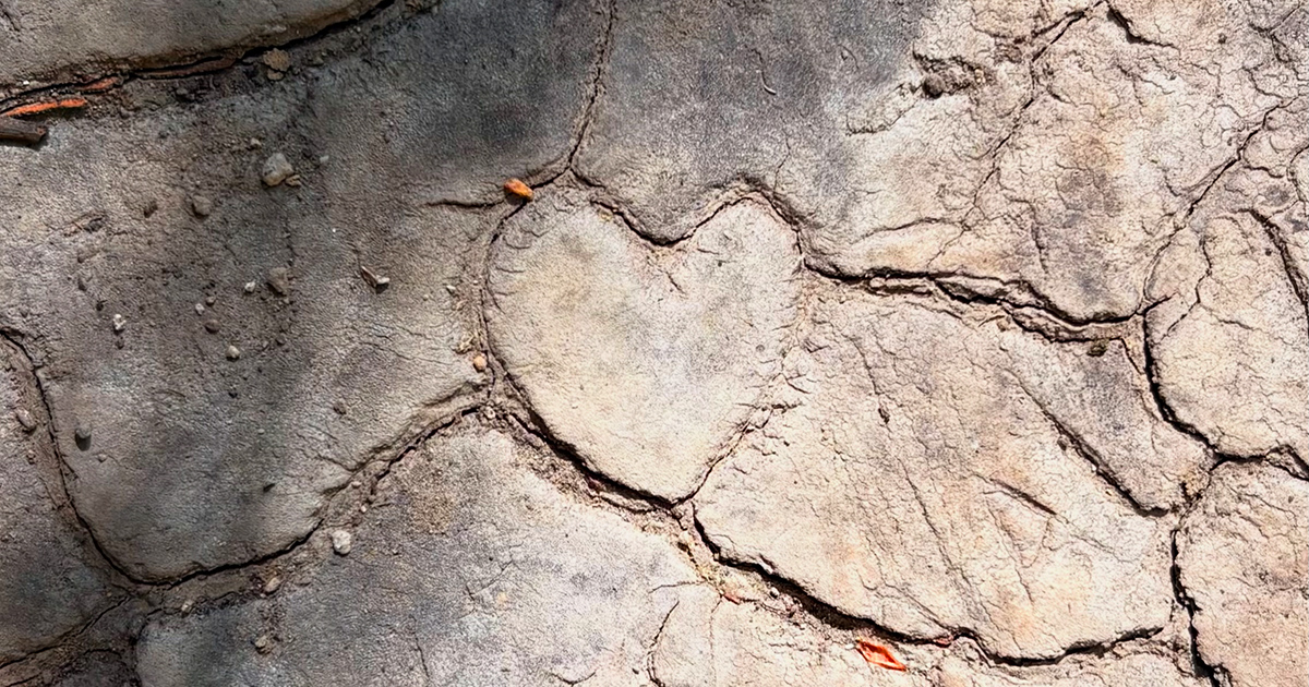Embracing the Resilience of the Heart