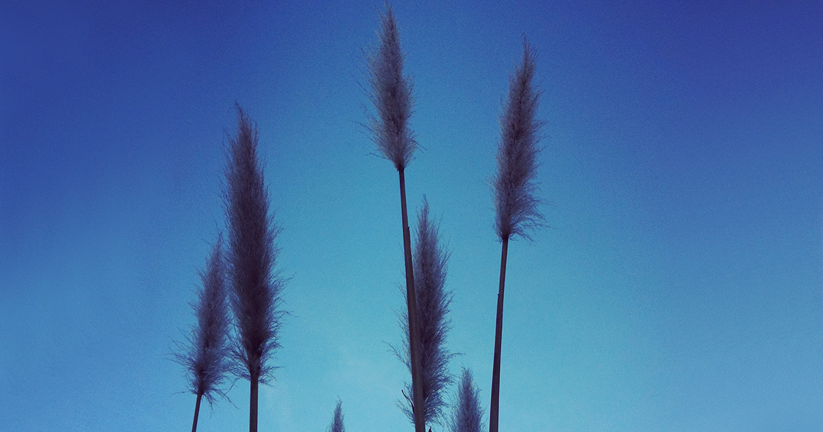 How Not to Dwell on the Past