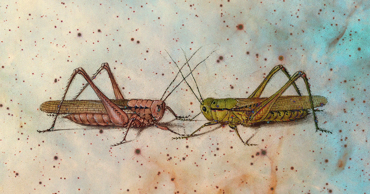 The Grasshopper, the Game of Life, and the “Lusory Attitude” Essential for Playing